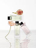 [Tender Garden] Multi-room spray